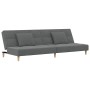 Sofá cama de 2 plazas con dos almohadas tela gris oscuro de , Sofás - Ref: Foro24-375793, Precio: 234,50 €, Descuento: %