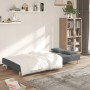 Sofá cama de 2 plazas con dos almohadas tela gris oscuro de , Sofás - Ref: Foro24-375793, Precio: 234,50 €, Descuento: %