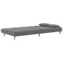 Sofá cama de 2 plazas con dos almohadas tela gris oscuro de , Sofás - Ref: Foro24-375793, Precio: 234,50 €, Descuento: %