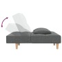 Sofá cama de 2 plazas con dos almohadas tela gris oscuro de , Sofás - Ref: Foro24-375793, Precio: 234,50 €, Descuento: %