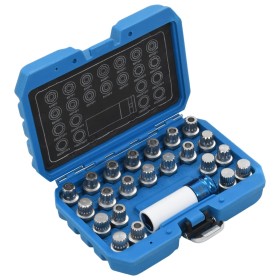 23-piece tire lock key set for VAG by vidaXL, Hand tools - Ref: Foro24-210490, Price: 77,39 €, Discount: %