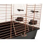 FLAMINGO Parakeet cage Wammer 1 copper 54x34x75 cm by FLAMINGO, Feet and bird cages - Ref: Foro24-439672, Price: 143,76 €, Di...