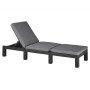 Keter Daytona graphite-colored sun lounger with cushion by , Loungers - Ref: Foro24-441306, Price: 181,95 €, Discount: %