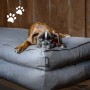 Madison Dog Bed Panama Gray 120x90x15 cm by , Beds for dogs - Ref: Foro24-444462, Price: 95,99 €, Discount: %