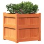 Outdoor planter made of solid pine wood, brown wax finish, 50x50x50 cm. by , Pots and planters - Ref: Foro24-837418, Price: 5...