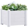 White PP garden bed 43x43x35 cm by , Pots and planters - Ref: Foro24-313971, Price: 63,17 €, Discount: %