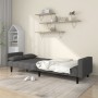 Sofá cama de 2 plazas con dos almohadas tela gris oscuro de , Sofás - Ref: Foro24-375834, Precio: 257,97 €, Descuento: %