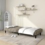 Sofá cama de 2 plazas terciopelo gris claro de , Sofás - Ref: Foro24-375841, Precio: 221,26 €, Descuento: %