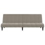 Sofá cama de 2 plazas terciopelo gris claro de , Sofás - Ref: Foro24-375841, Precio: 221,26 €, Descuento: %