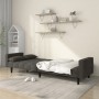 Two-seater sofa bed with two dark gray velvet pillows by , Sofas - Ref: Foro24-375848, Price: 257,58 €, Discount: %