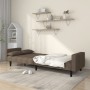 Two-seater sofa bed with two taupe gray fabric pillows. by , Sofas - Ref: Foro24-375839, Price: 252,67 €, Discount: %