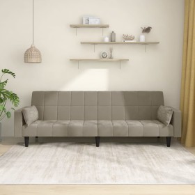 Sofá cama de 2 plazas con dos almohadas terciopelo gris claro de , Sofás - Ref: Foro24-375847, Precio: 254,83 €, Descuento: %