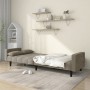 Sofá cama de 2 plazas con dos almohadas terciopelo gris claro de , Sofás - Ref: Foro24-375847, Precio: 256,82 €, Descuento: %