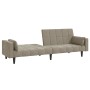 Sofá cama de 2 plazas con dos almohadas terciopelo gris claro de , Sofás - Ref: Foro24-375847, Precio: 256,82 €, Descuento: %