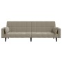 Sofá cama de 2 plazas con dos almohadas terciopelo gris claro de , Sofás - Ref: Foro24-375847, Precio: 256,82 €, Descuento: %