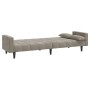 Sofá cama de 2 plazas con dos almohadas terciopelo gris claro de , Sofás - Ref: Foro24-375847, Precio: 256,82 €, Descuento: %