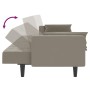 Sofá cama de 2 plazas con dos almohadas terciopelo gris claro de , Sofás - Ref: Foro24-375847, Precio: 256,82 €, Descuento: %