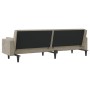 Sofá cama de 2 plazas con dos almohadas terciopelo gris claro de , Sofás - Ref: Foro24-375847, Precio: 256,82 €, Descuento: %