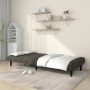 Sofá cama de 2 plazas terciopelo gris oscuro de , Sofás - Ref: Foro24-375842, Precio: 227,01 €, Descuento: %