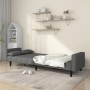 Sofá cama de 2 plazas con dos almohadas tela gris claro de , Sofás - Ref: Foro24-375833, Precio: 254,73 €, Descuento: %