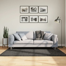 ISTAN anthrazitfarbener, langfloriger Teppich in glänzender Optik, 120 x 170 cm von , Teppiche - Ref: Foro24-375640, Preis: 5...