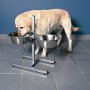 TRIXIE Soporte ajustable de cuencos para perros 3,6 L 20 cm 24921 de , Cuencos, comederos, y bebederos para mascotas - Ref: F...