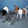 TRIXIE Adjustable dog bowl stand 5.6 L 24 cm 24922 by , Pet bowls, feeders, and waterers - Ref: Foro24-408410, Price: 45,17 €...