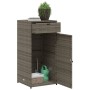 PE grey rattan garden storage cabinet 55x55x111 cm by , Outdoor storage boxes - Ref: Foro24-365561, Price: 130,99 €, Discount: %