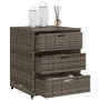 Gartenschrank aus grauem PE-Rattan, 55 x 59 x 69 cm von , Aufbewahrungsboxen für den Außenbereich - Ref: Foro24-365557, Preis...