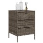 Gartenschrank aus grauem PE-Rattan, 55 x 59 x 80 cm von , Aufbewahrungsboxen für den Außenbereich - Ref: Foro24-365553, Preis...