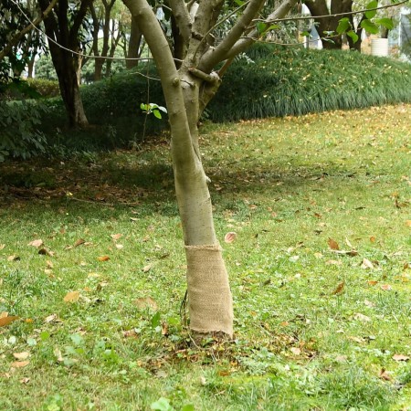 Jute roll 0.25x50 m 100% jute 200 gsm by , Decor - Ref: Foro24-155793, Price: 35,97 €, Discount: %