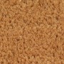 Felpudo semicircular de fibra de coco natural 60x90 cm de , Felpudos - Ref: Foro24-155603, Precio: 36,64 €, Descuento: %