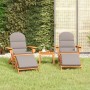 Adirondack garden furniture set 3 pieces acacia wood by , Garden sets - Ref: Foro24-3152126, Price: 429,56 €, Discount: %