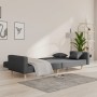 Sofá cama de 2 plazas con dos almohadas tela gris claro de , Sofás - Ref: Foro24-375741, Precio: 250,99 €, Descuento: %