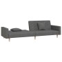 Sofá cama de 2 plazas con dos almohadas tela gris oscuro de , Sofás - Ref: Foro24-375900, Precio: 251,34 €, Descuento: %