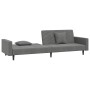 Sofá cama de 2 plazas con dos almohadas terciopelo gris oscuro de , Sofás - Ref: Foro24-375919, Precio: 264,13 €, Descuento: %