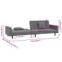 Two-seater sofa bed with two dark gray velvet pillows by , Sofas - Ref: Foro24-375919, Price: 264,13 €, Discount: %