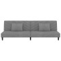 Sofá cama de 2 plazas con dos almohadas terciopelo gris claro de , Sofás - Ref: Foro24-375910, Precio: 227,67 €, Descuento: %