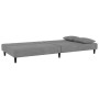 Sofá cama de 2 plazas con dos almohadas terciopelo gris claro de , Sofás - Ref: Foro24-375910, Precio: 227,67 €, Descuento: %