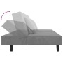 Sofá cama de 2 plazas con dos almohadas terciopelo gris claro de , Sofás - Ref: Foro24-375910, Precio: 227,67 €, Descuento: %