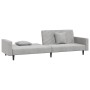 Sofá cama de 2 plazas con dos almohadas terciopelo gris claro de , Sofás - Ref: Foro24-375918, Precio: 249,99 €, Descuento: %