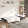 Sofá cama de 2 plazas tela gris oscuro de , Sofás - Ref: Foro24-375724, Precio: 209,92 €, Descuento: %