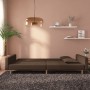 Sofá cama de 2 plazas con dos almohadas tela marrón de , Sofás - Ref: Foro24-375903, Precio: 251,34 €, Descuento: %