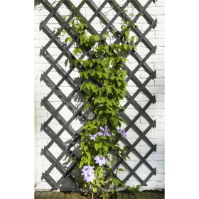 Nature Garden trellis wood anthracite grey 50x150 cm by , Pergolas, arches and garden trellises - Ref: Foro24-447508, Price: ...