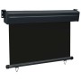 Schwarze Balkon-Seitenmarkise 105x250 cm von , Sonnenschirme - Ref: Foro24-48412, Preis: 66,93 €, Rabatt: %