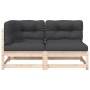 2-Sitzer-Gartensofa mit Kissen aus massivem Zirbenholz von , Modulare Sofas für den Außenbereich - Ref: Foro24-838117, Preis:...