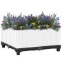 Arriate polipropileno 40x40x23 cm de , Maceteros y jardineras - Ref: Foro24-153304, Precio: 26,11 €, Descuento: %