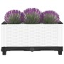 Arriate polipropileno 40x40x23 cm de , Maceteros y jardineras - Ref: Foro24-153304, Precio: 26,11 €, Descuento: %