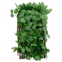 Expandable trellis with artificial green ivy 5 units 180x30 cm by , fence panels - Ref: Foro24-366585, Price: 54,90 €, Discou...