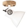 Industrial wall/ceiling lamps 2 pcs white 20x25 cm E27 by , Lamps - Ref: Foro24-320519, Price: 47,96 €, Discount: %